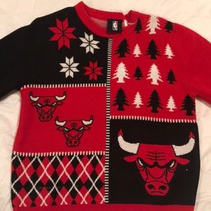 Bulls Sweater